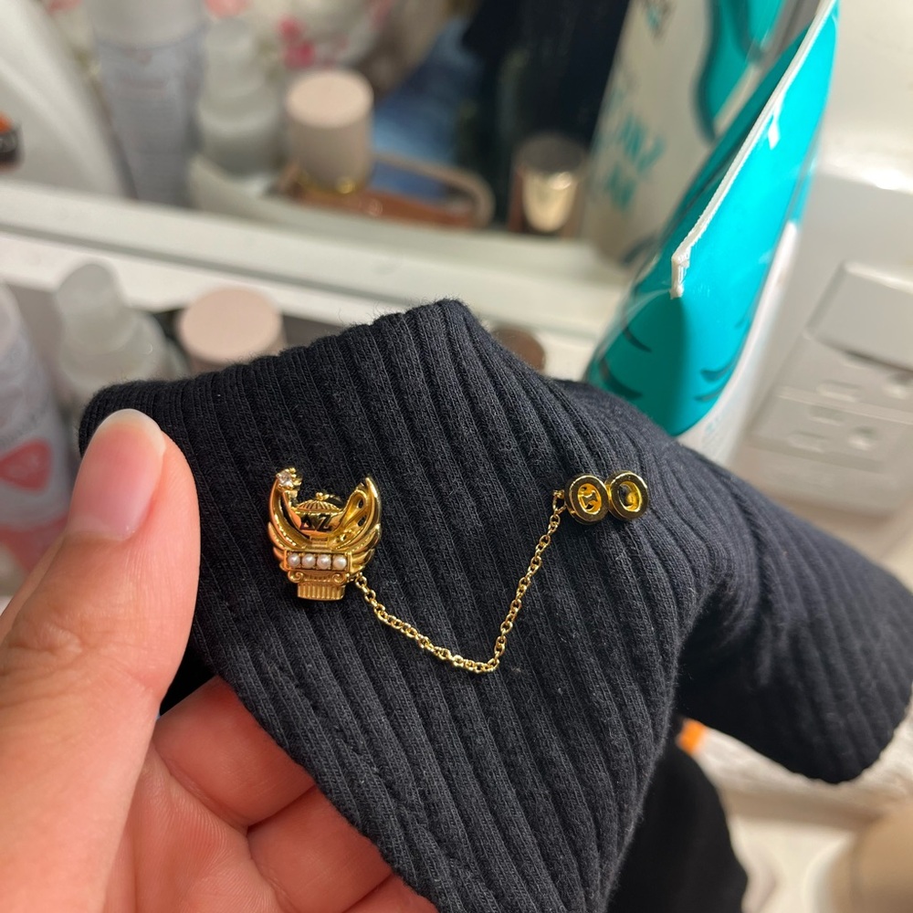 Delta zeta sorority pin